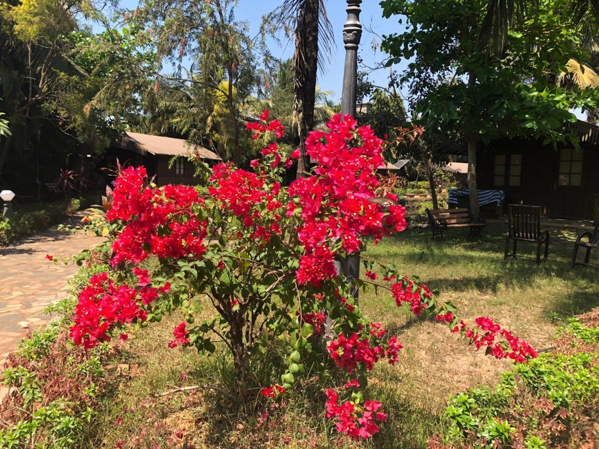 Resort Primo Bom Terra Verde Бага Экстерьер фото